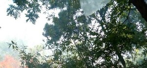 Повышенная пожароопасность: в Одессе тушили пожар на склонах