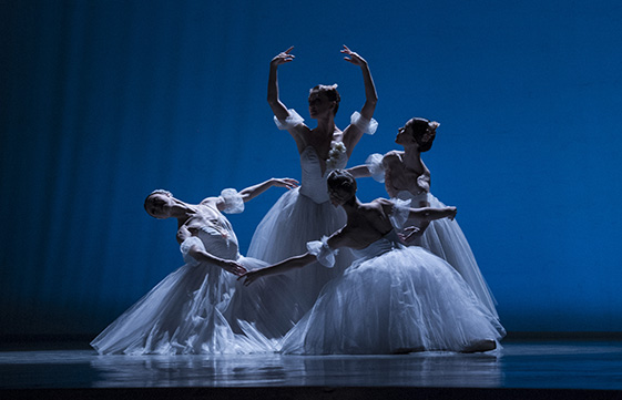 Афиша - Театры - Жемчужины мирового балета