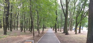 Доставай ролики: на 411 батареи ремонтируют дорожки