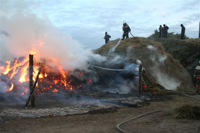 Пожар на ферме Фото: ГСЧС