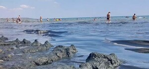 Красивое фото не сделаешь: на одесском пляже огромное количество черных водорослей
