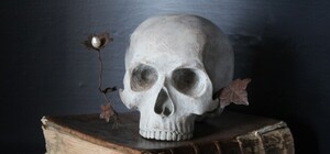 Новоселье с 