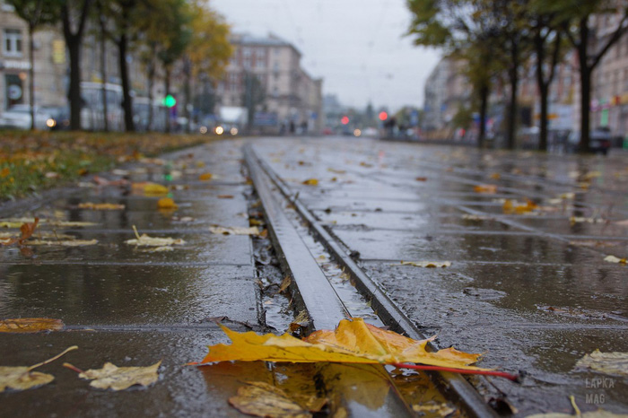 Чем заняться в Одессе в дождь и слякоть Фото: Татьяна Еремина