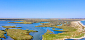 Место для фотосессии: любуемся удивительными кадрами с прогулки по одесскому заповеднику