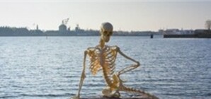 В Ялте дети наткнулись на  скелет