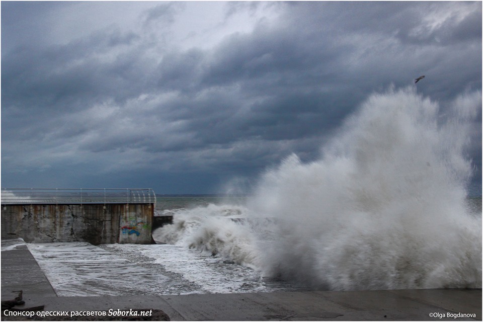 Как прекрасен ноябрьский шторм на море в Одессе. Фото: Ольга Богданова