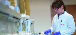 Получи ответ: почему в Крыму не будет службы фитосанитарного надзора