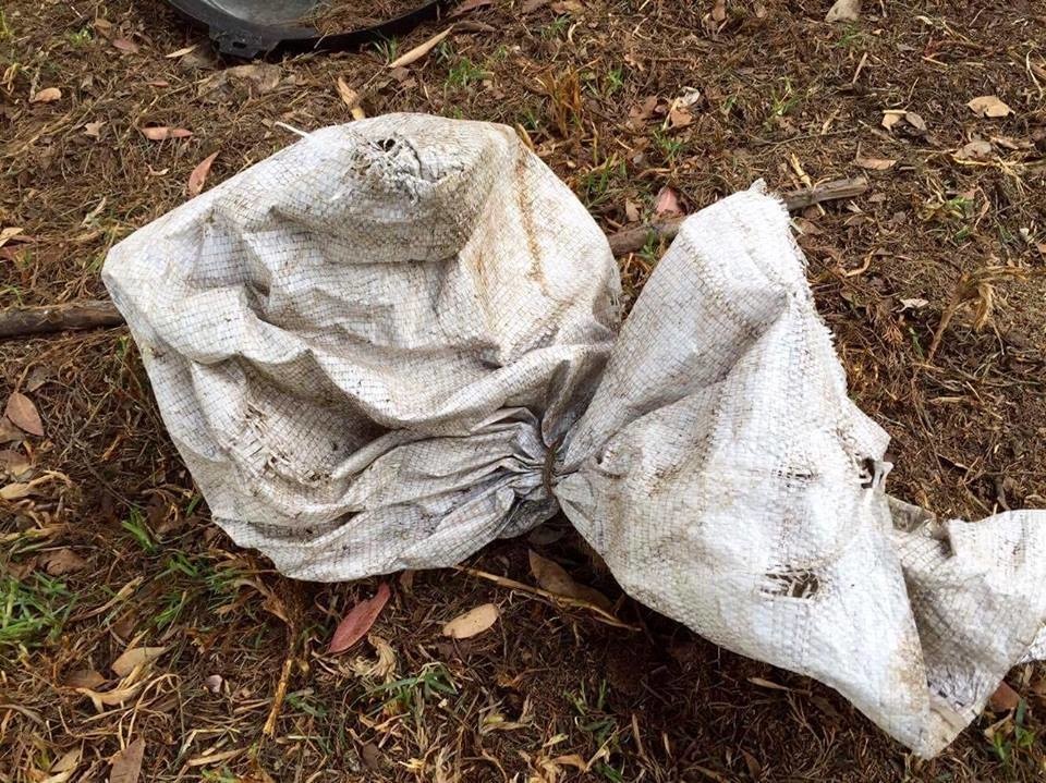 Под Одессой нашли мешок с человеческими останками Фото из открытых источников