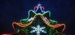 Дождались: на Думской устанавливают елку