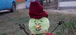 Выкручиваемся как можем: запорожцы поставили во дворе необычного снеговика