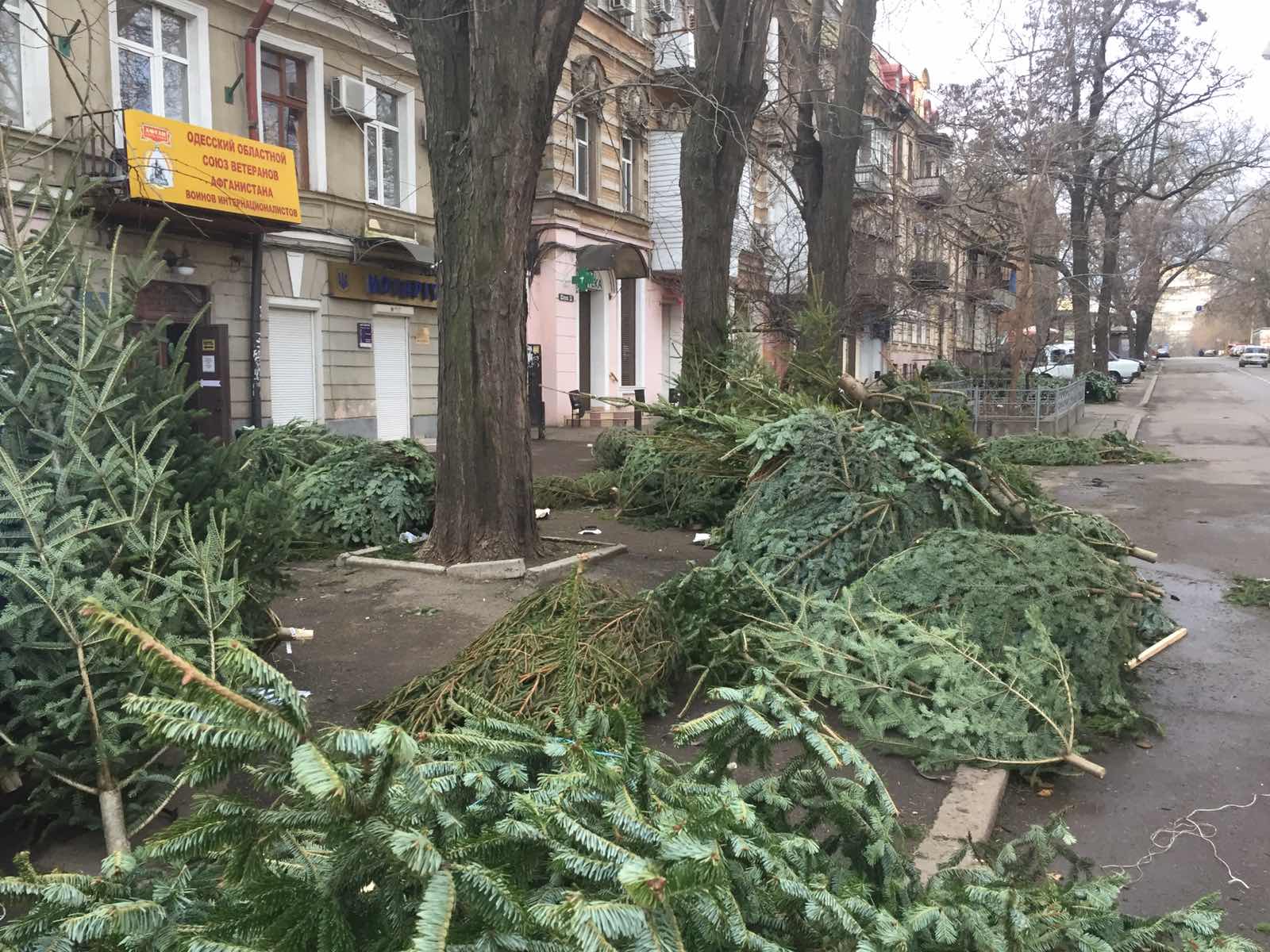 Что стало с ненужными елками в Одессе. Фото ЖКС "Порто-Франковский