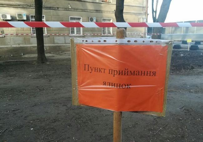 В Одессе открыли пункты приема новогодних елок. Фото: горсовета