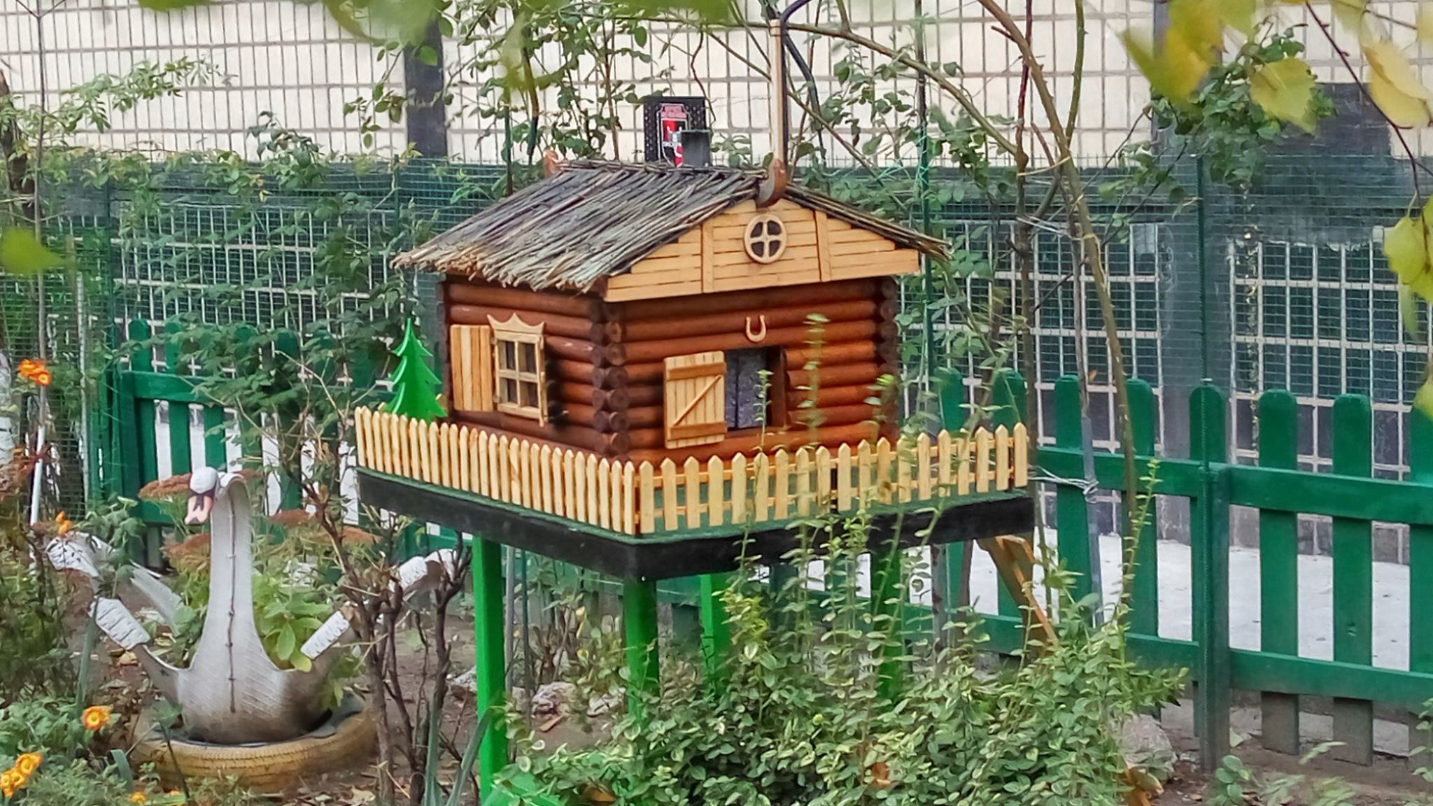 С подогревом и окошками: на левом берегу соорудили домик для кошек