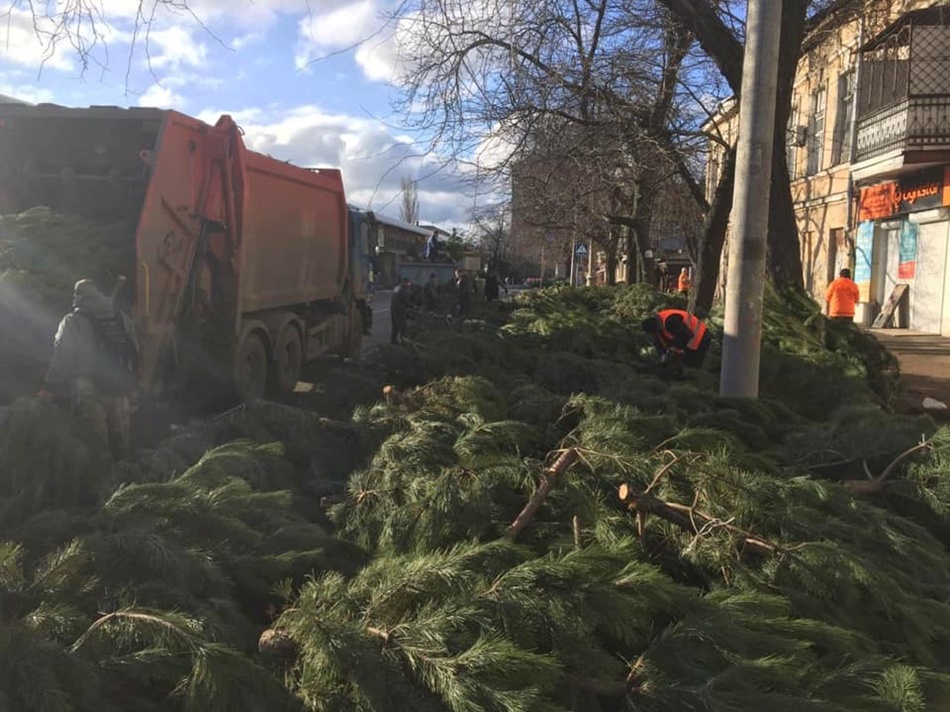 В Одессе продавцов елок обяжут убирать за собой. Фото: Дмитрий Жеман