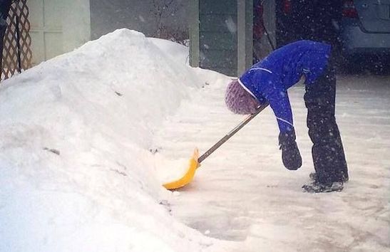 Есть работа: в Симферополе ищут дворников