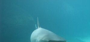 Днепропетровцы от туров в Египет не отказываются