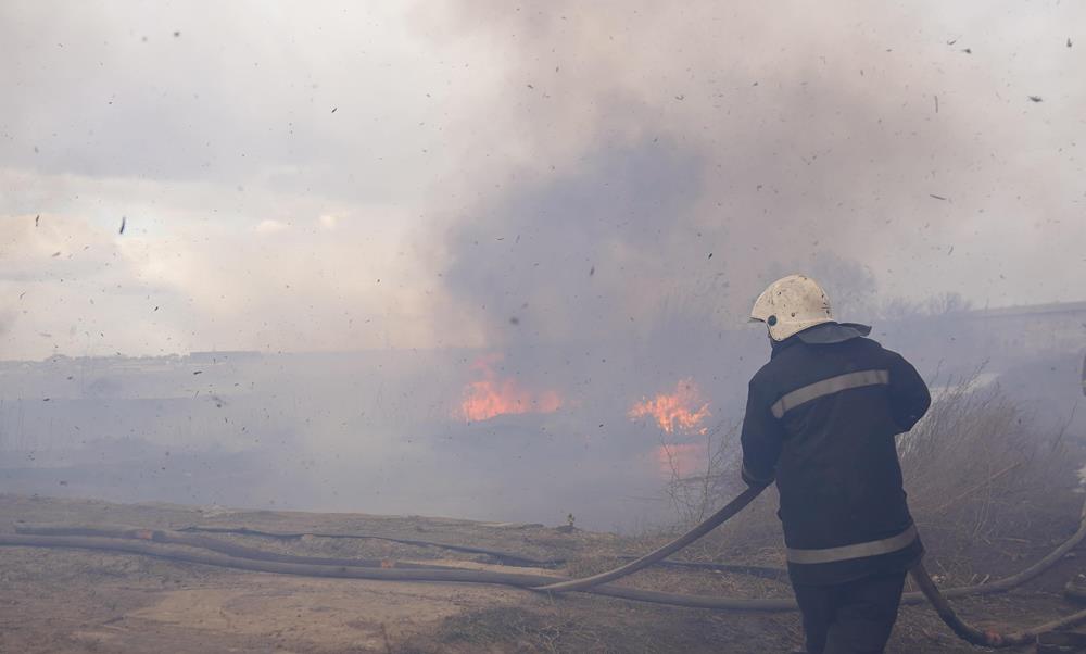 Огонь с камышей под Одессой перекинулся на дом Фото: ГСЧС