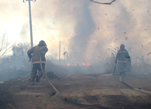 На Балтской дороге горел камыш и ближайшие дома Фото: ГСЧС