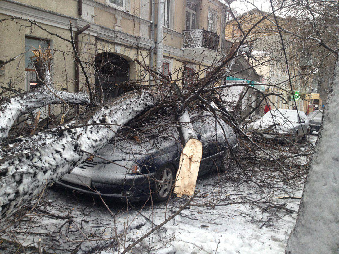 На Успенской, 29 прямо на авто упали деревья. Фото очевидцев