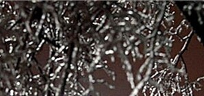 Запорожские пользователи сочувствуют родственникам погибших в  