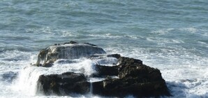 В севастопольском порту выловили древнюю амфору