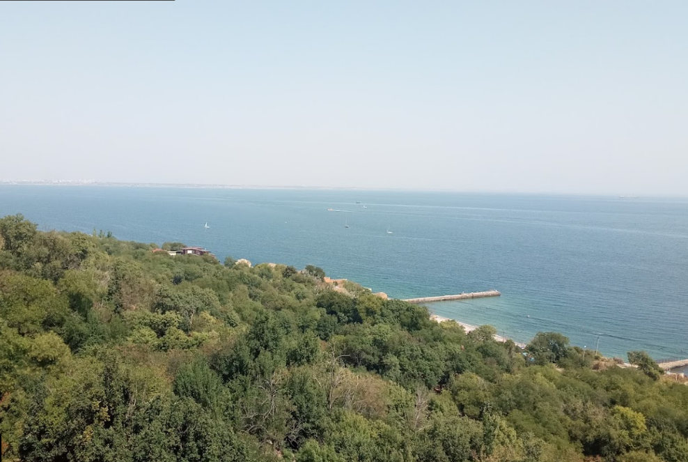 Ботанический сад в Одессе. Вид на море. Фото автора