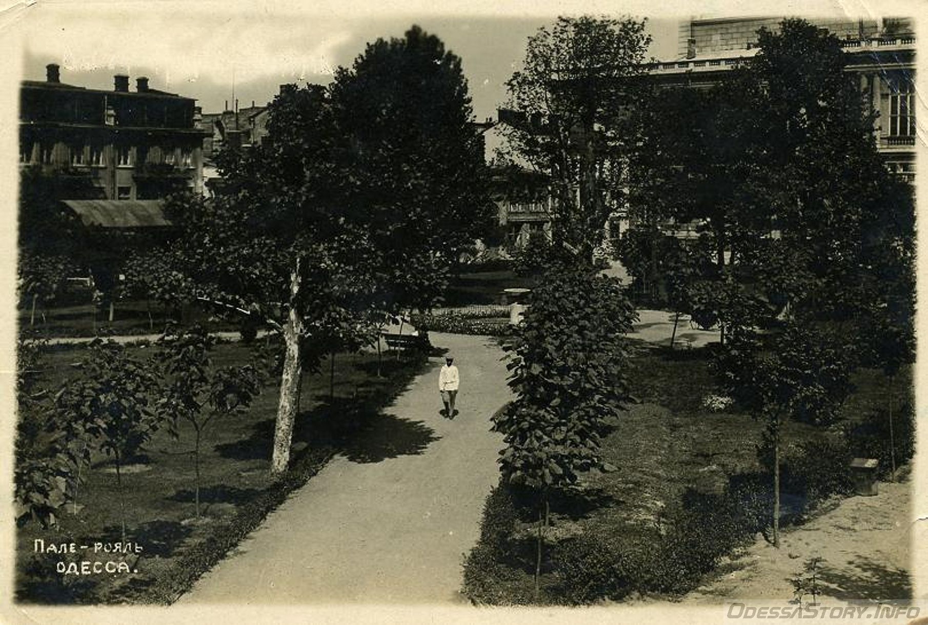 Сквер Чарльза Дарвина