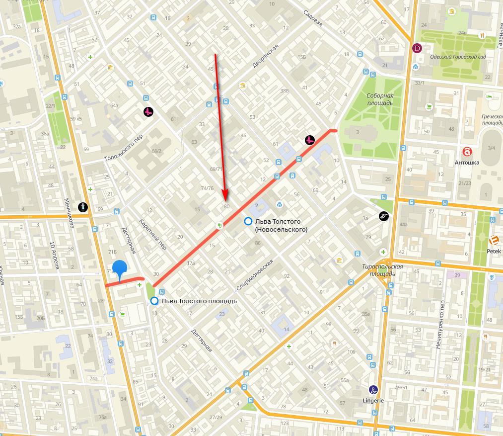 Улица Льва Толстого. Скрин: 2ГИС