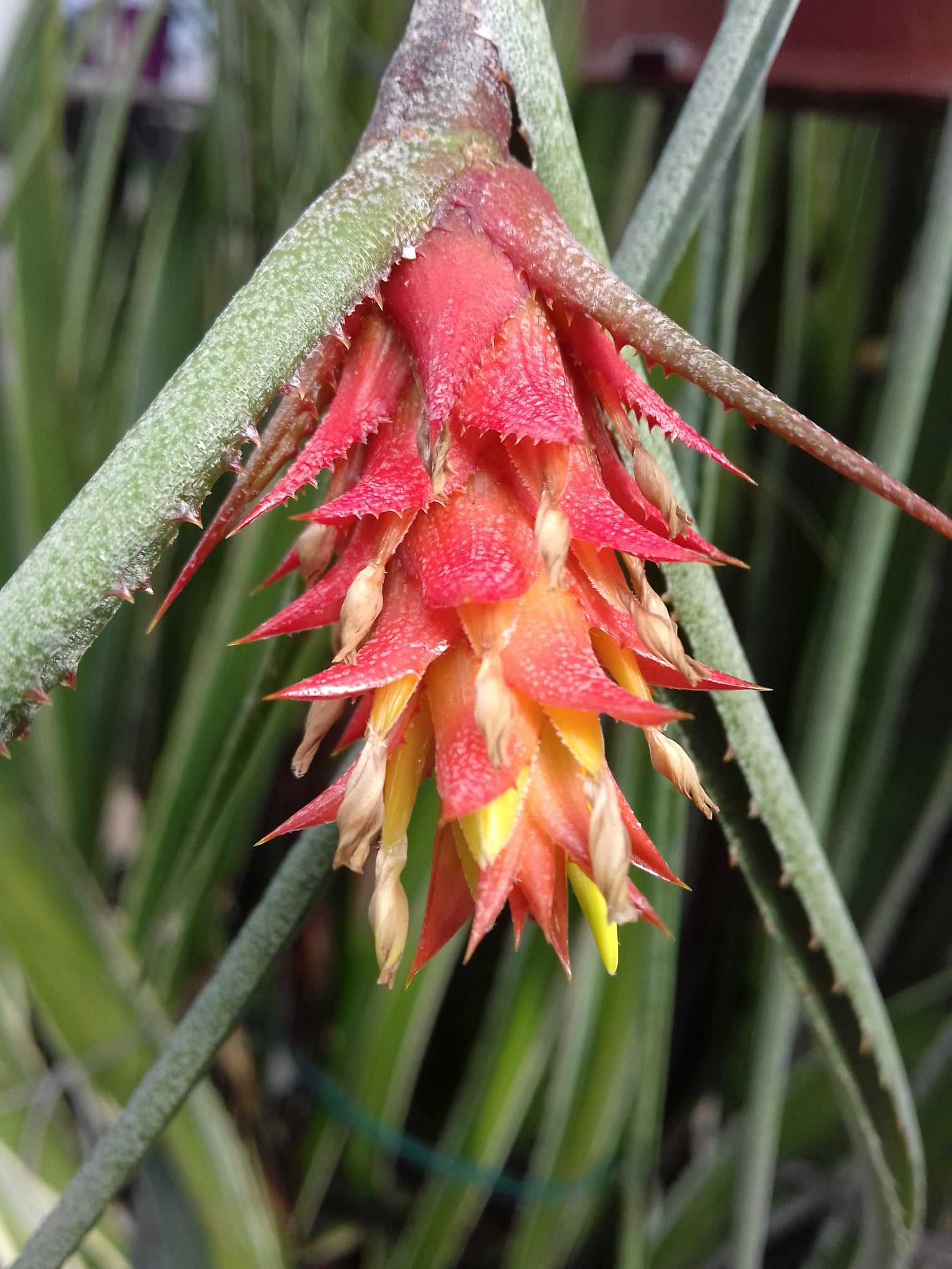 Март в ботаническом саду. Фото со страницы учреждения в Facebook