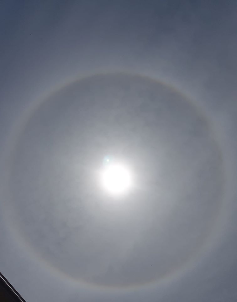 Гало в Одессе Фото: Елена Буйневич