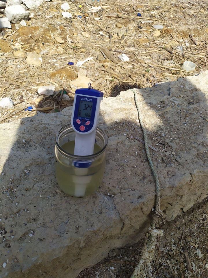 Фото: Одесский рибоохранный патруль