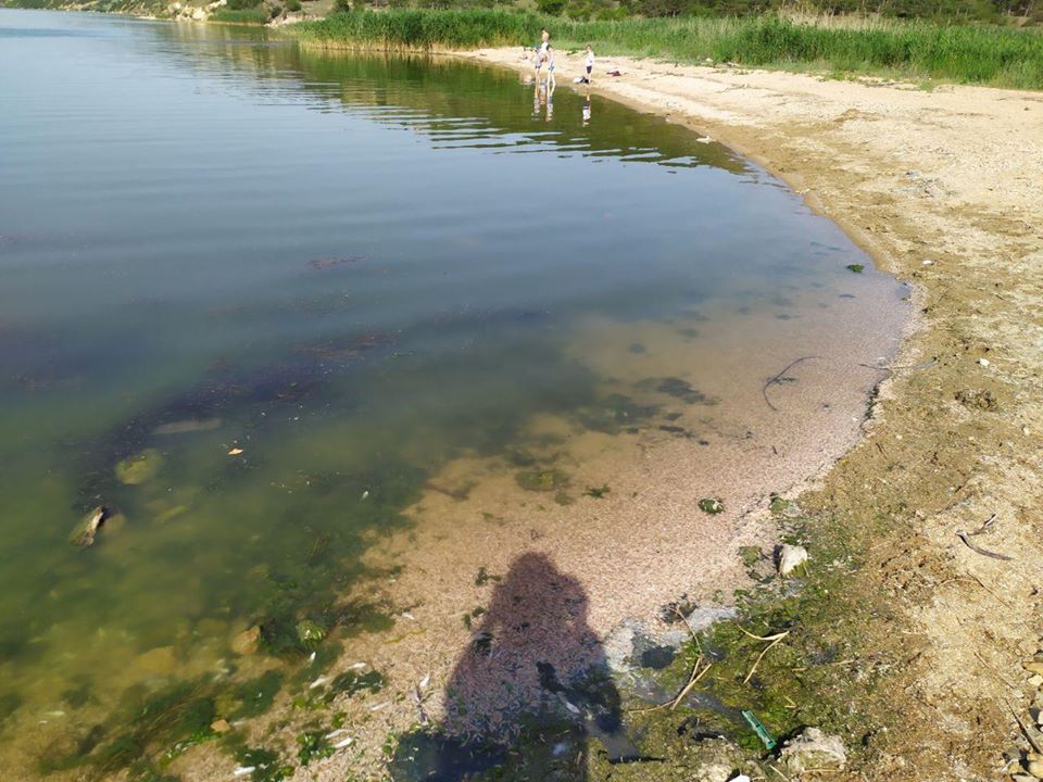 Фото: Одесский рибоохранный патруль