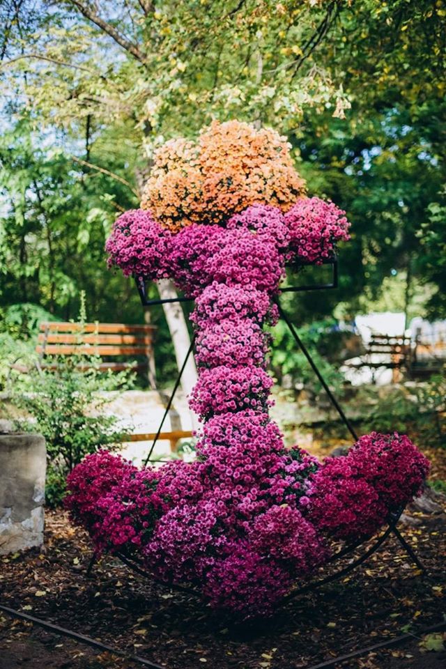 Выставка цветов в Одессе