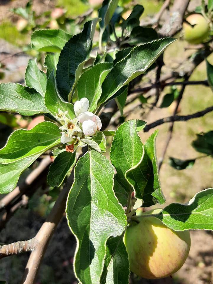Фото: Валентина Будаец