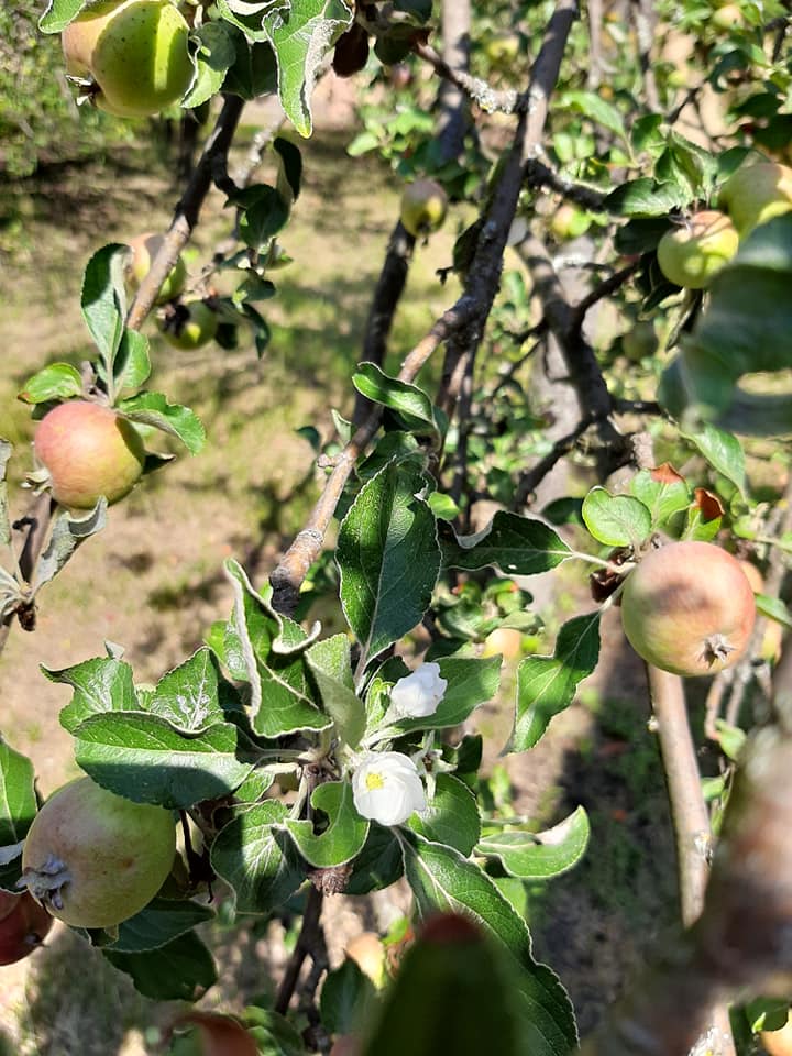Фото: Валентина Будаец