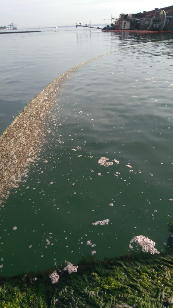 Фото: пресс-служба КУ "Спасательно-водолазной службы Одесского горсовета"