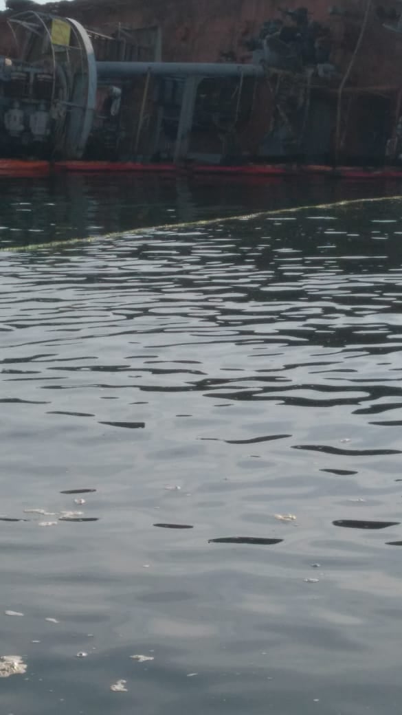 Фото: пресс-служба КУ "Спасательно-водолазной службы Одесского горсовета"