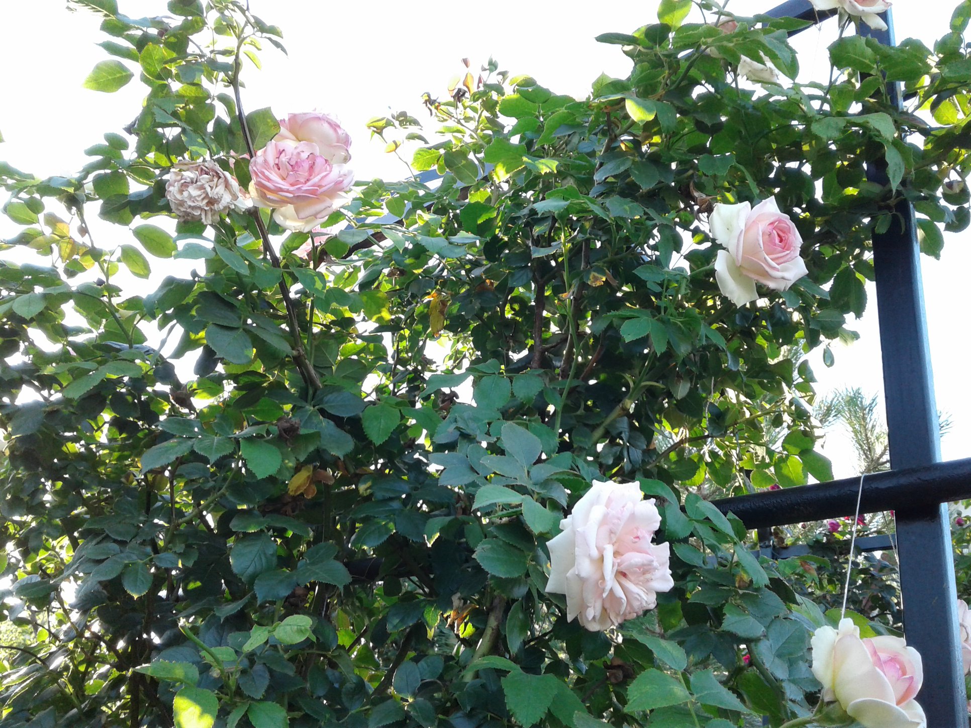 Фото: Валентина Подгорная