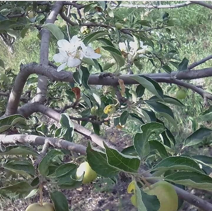 Фото: Татьяна Ларина