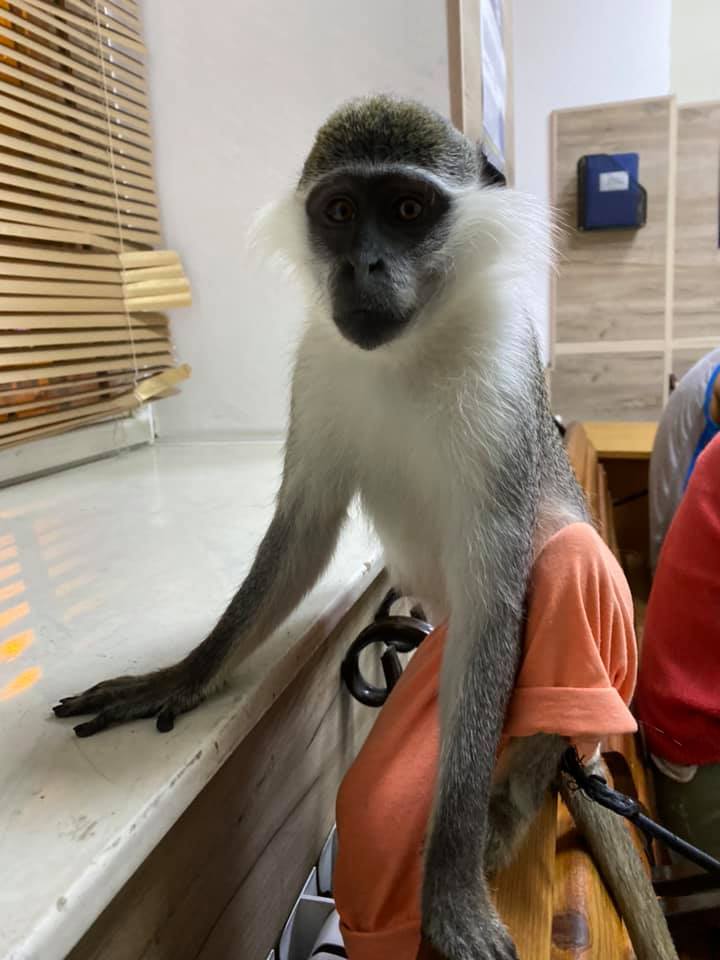 Фото: Демьян Ганул