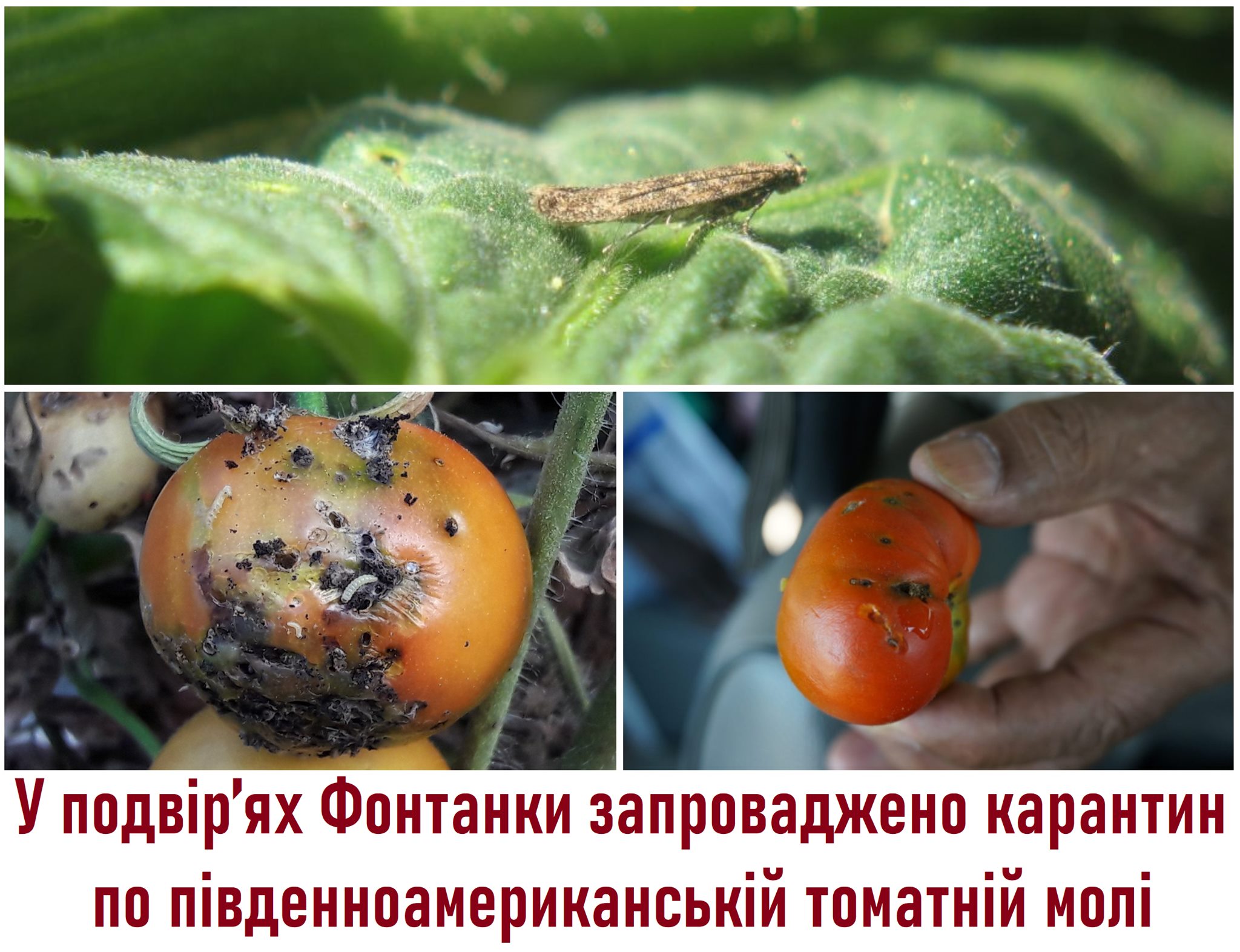 Фото ГУ Госпотребслужбы в Одесской области.