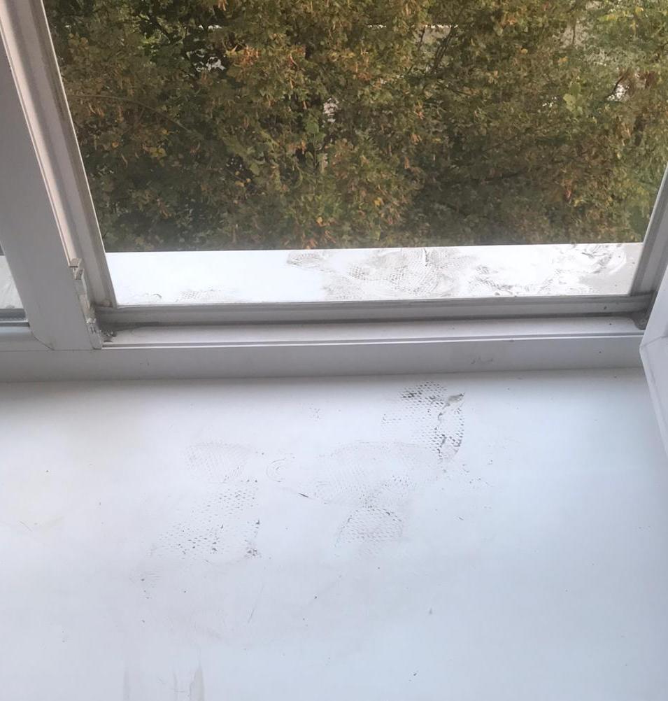 Место трагедии. Фото: Горецкая Наталия