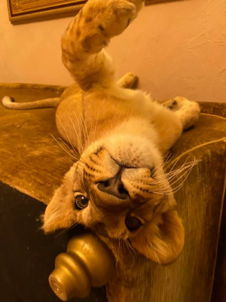 Фото: Зоя Великая