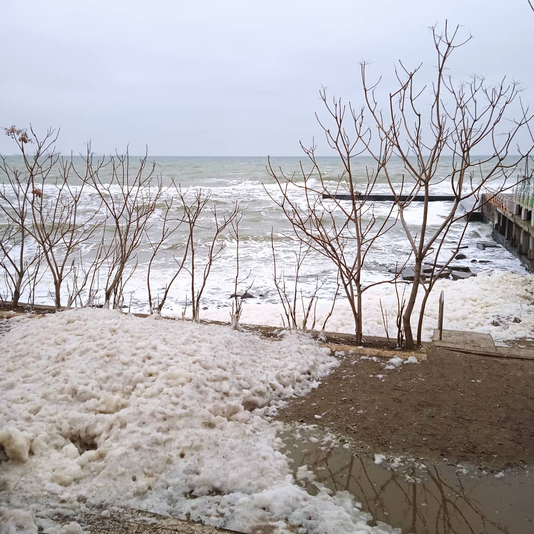 Фото: Мария Декалюк