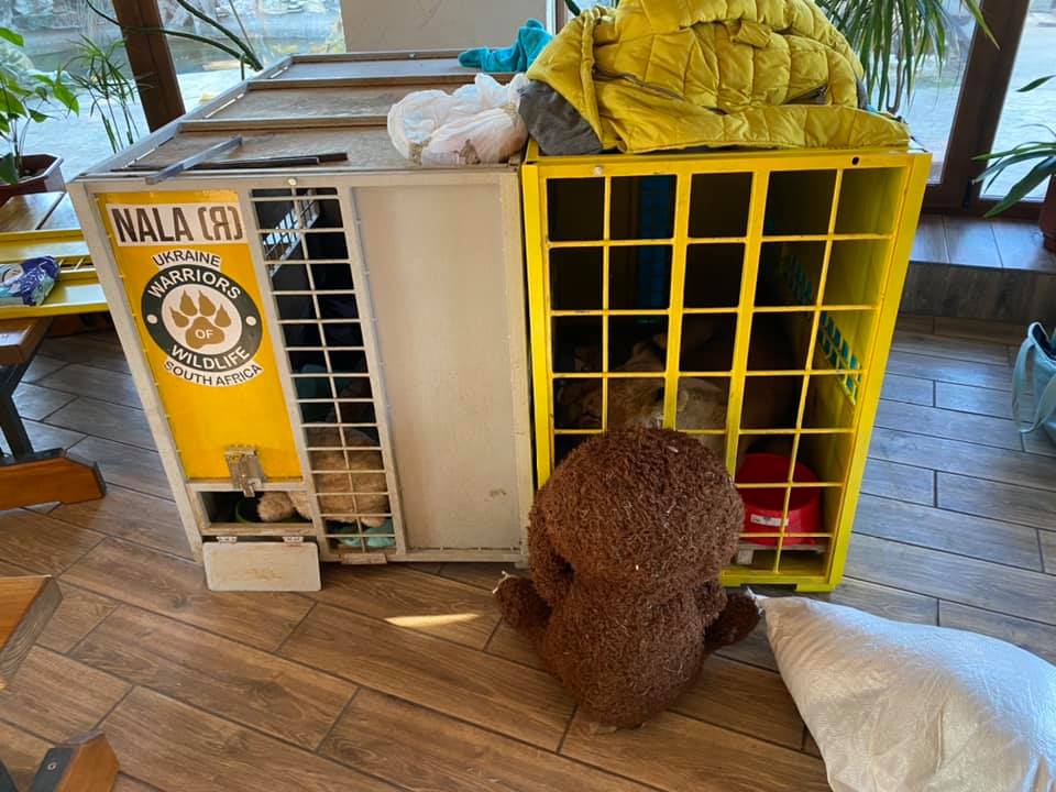 Фото: Зоя Великая