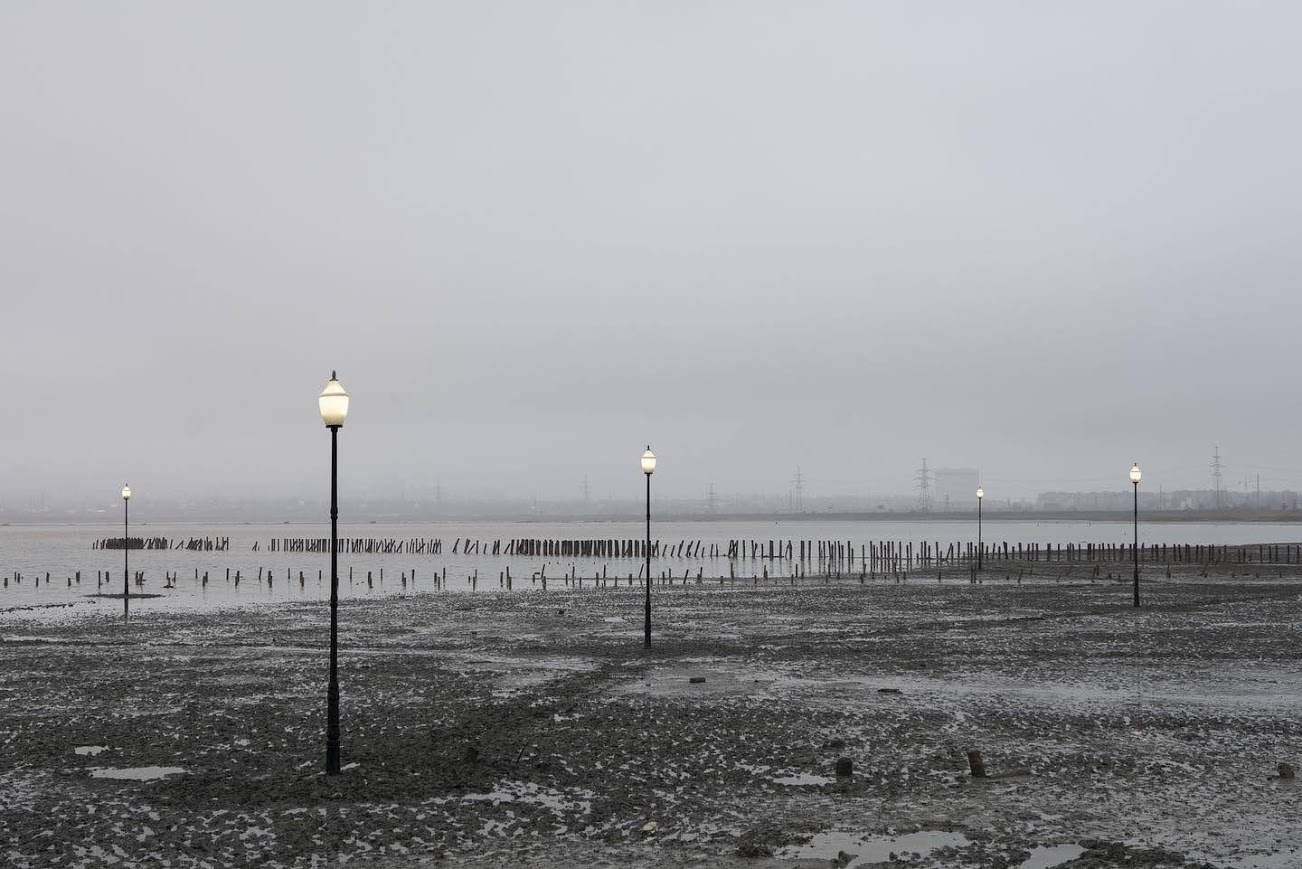 Куяльник с фонарями. Фото: “Изоляция"