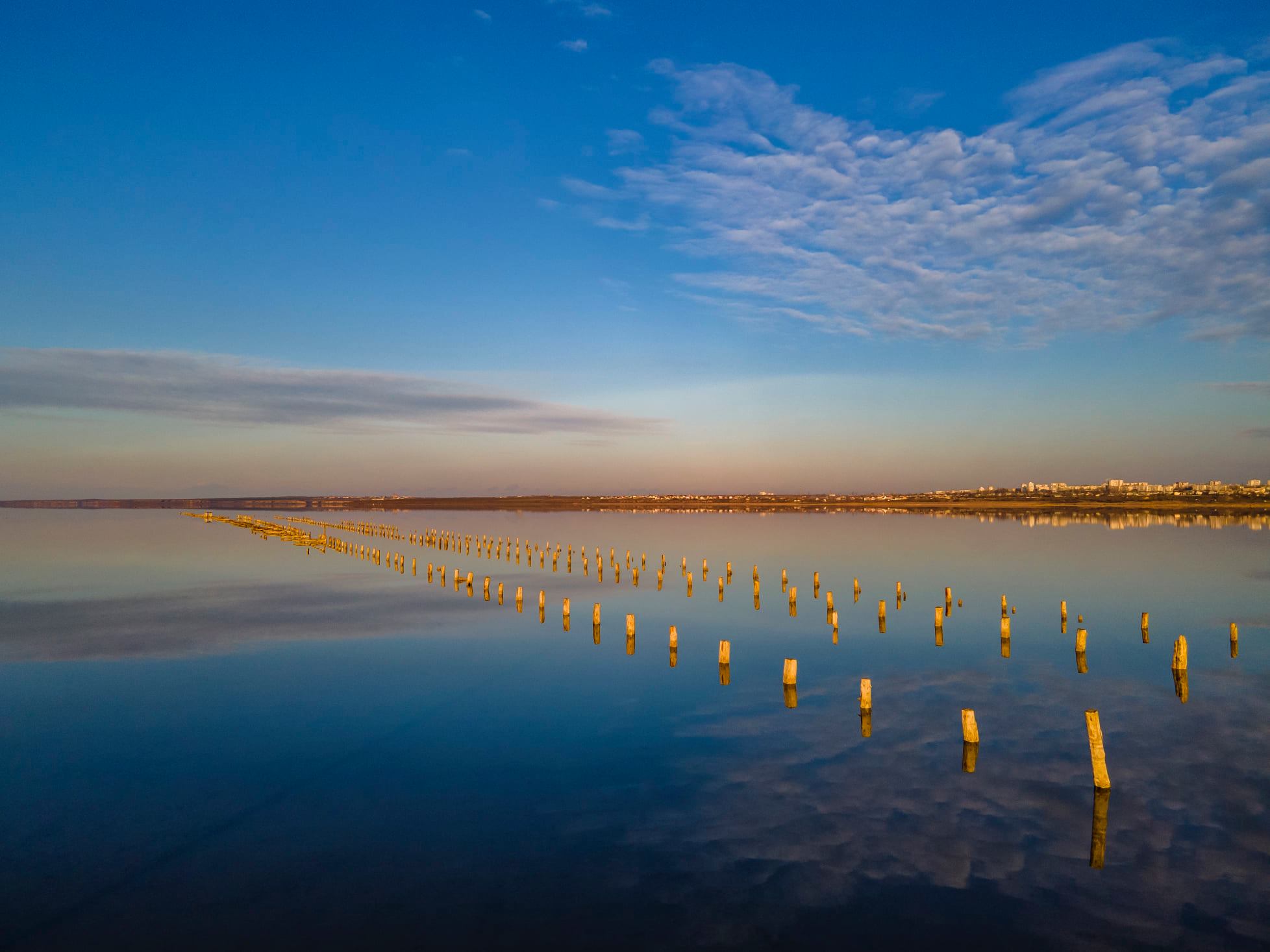 Куяльник. Фото: Артур Туманов