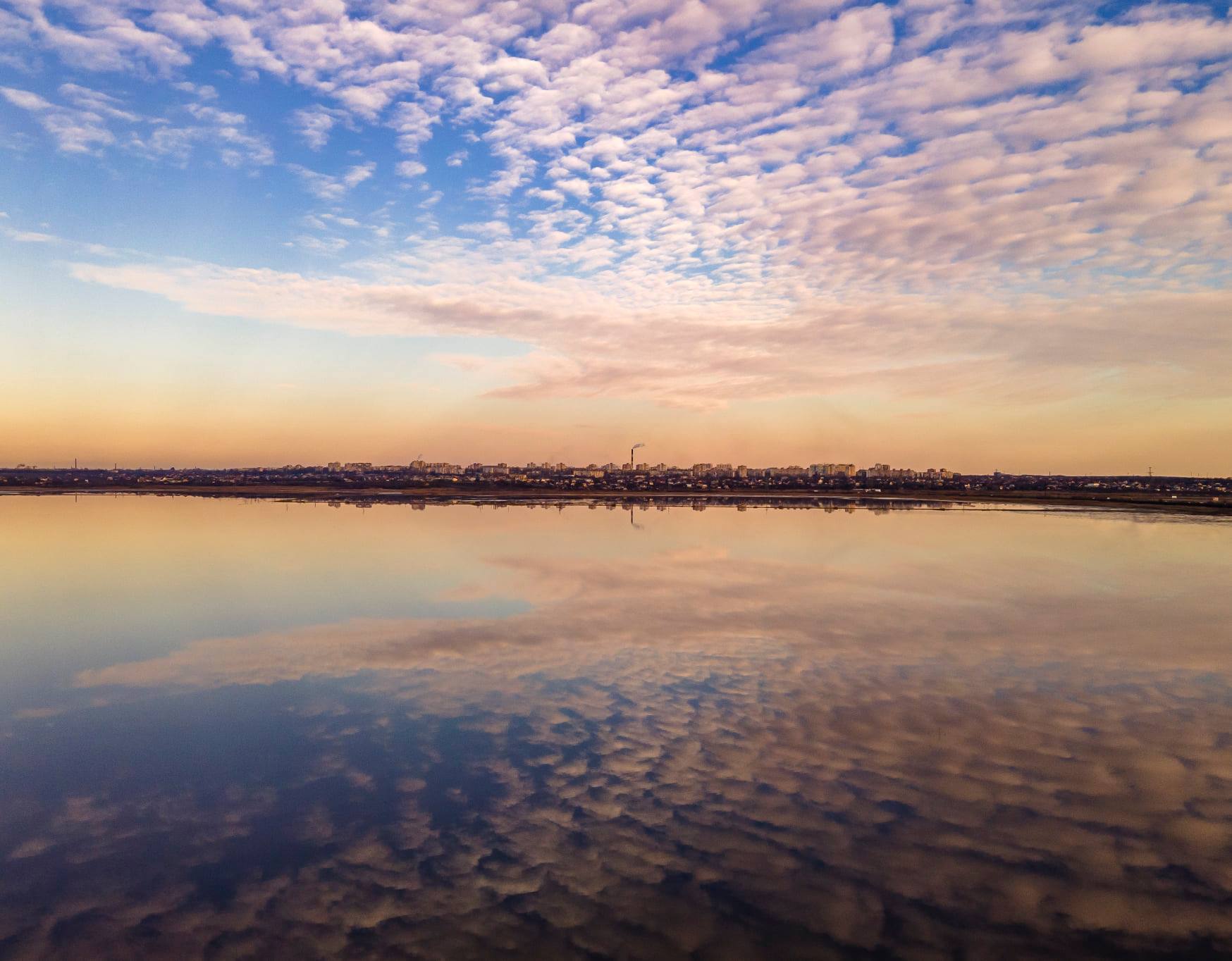 Куяльник. Фото: Артур Туманов