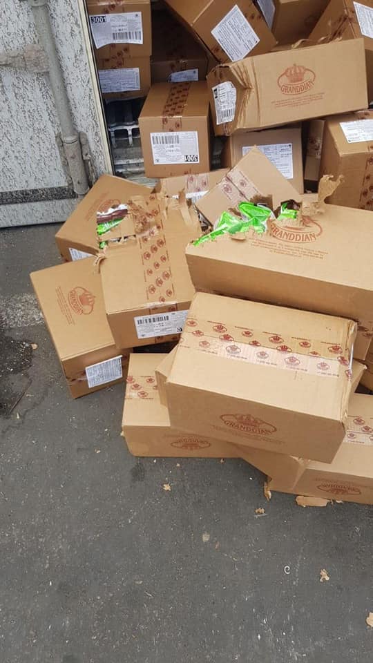 Одесская кошка добралась до Израиля. Фото: Star Shine Shipping LTD