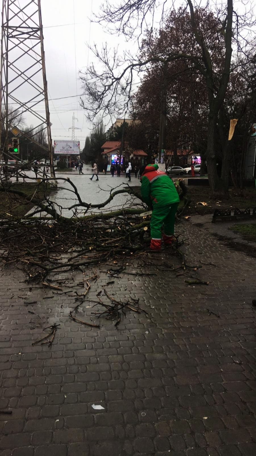 В Одессе от ветра упали ветки. Фото: «Горзелентрест»